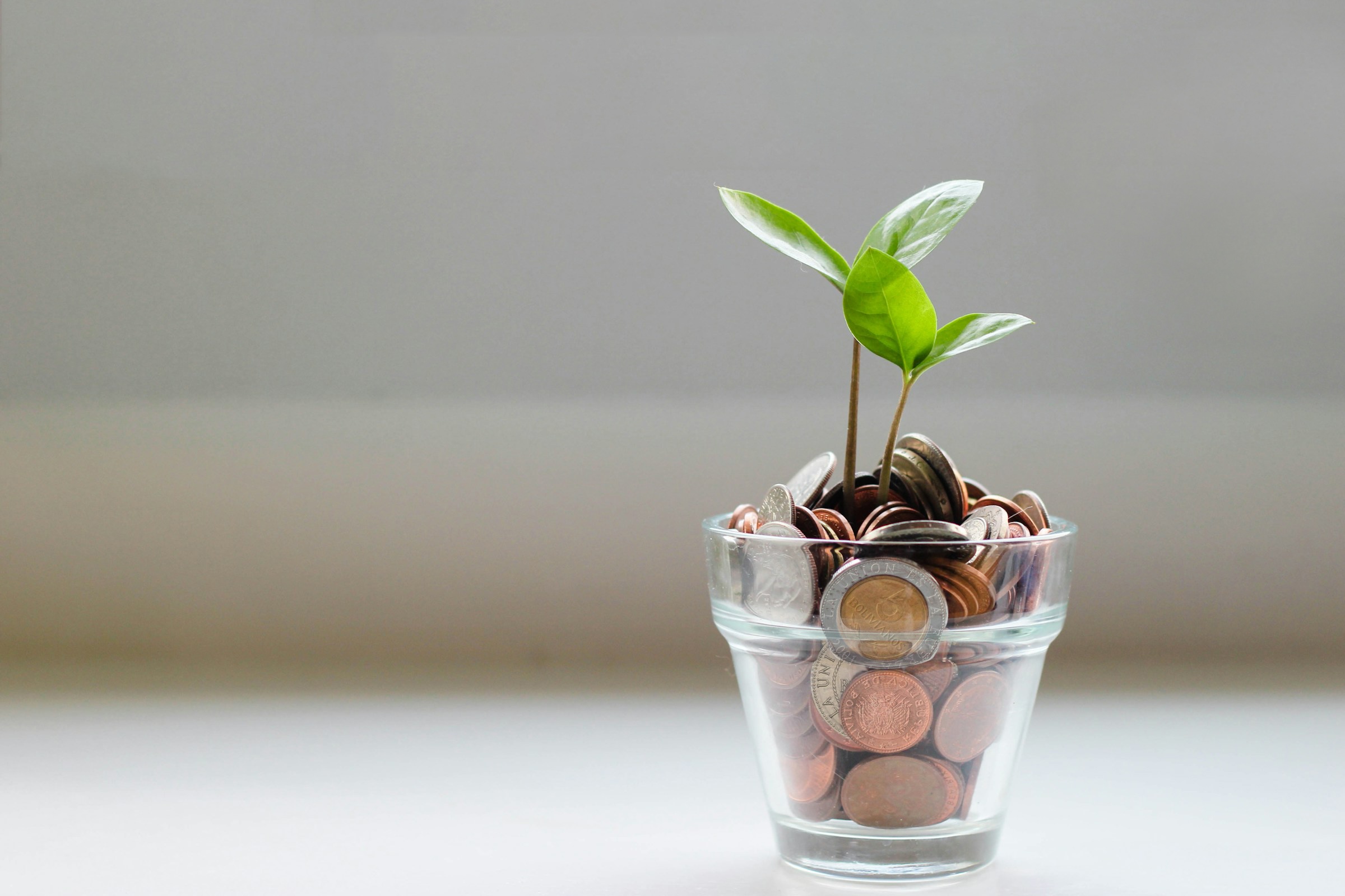 Planta brotando sobre monedas