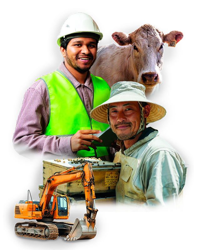 TERRA-PRODUCTIVO FIC