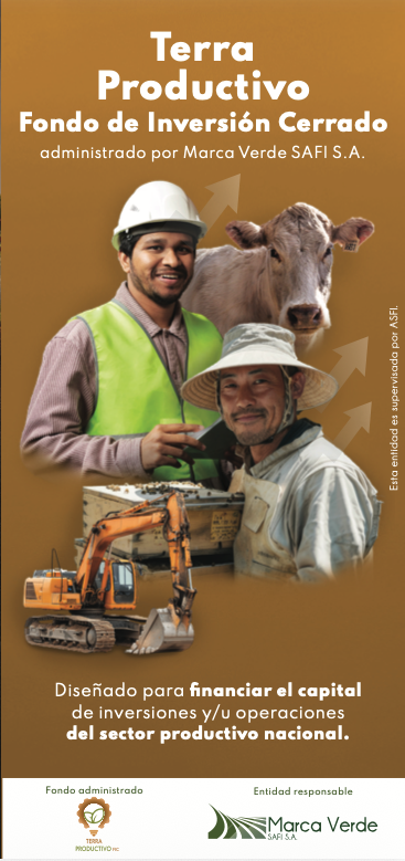 Boletín informativo Terra Productivo FIC