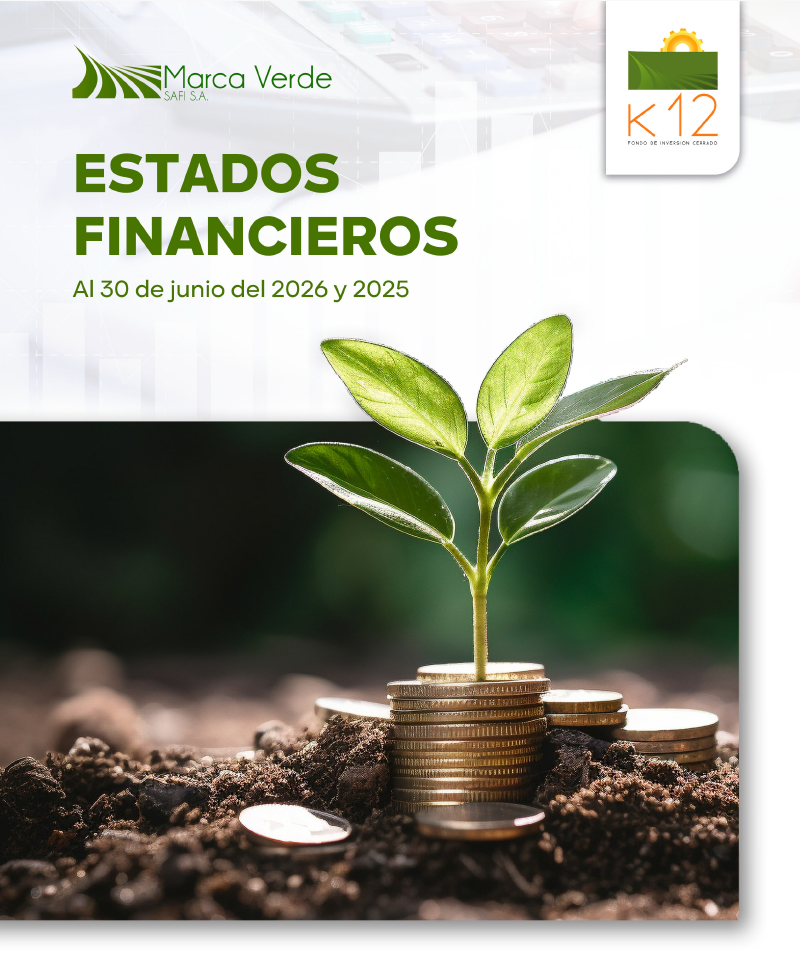 ESTADOS FINANCIEROS AL 30 DE JUNIO DE 2026 Y 2025