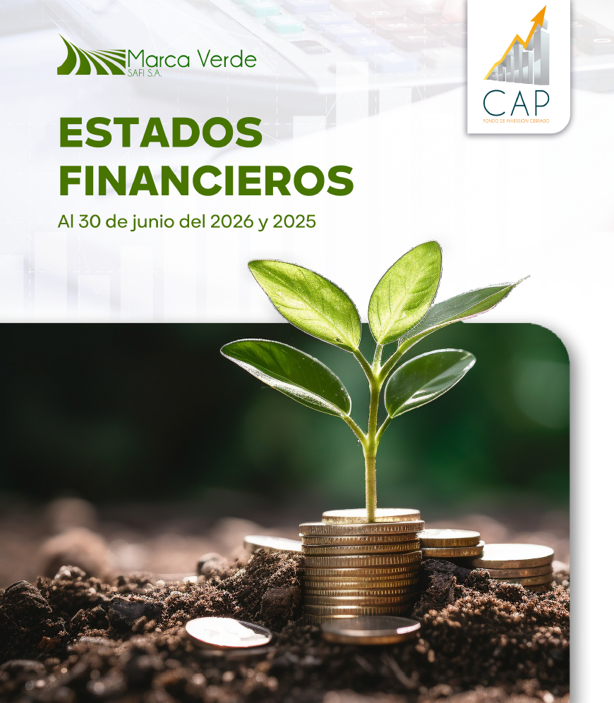 ESTADOS FINANCIEROS AL 30 DE JUNIO DE 2026 Y 2025