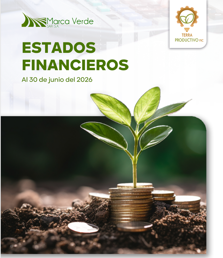 ESTADOS FINANCIEROS AL 30 DE JUNIO DE 2026 Y 2025