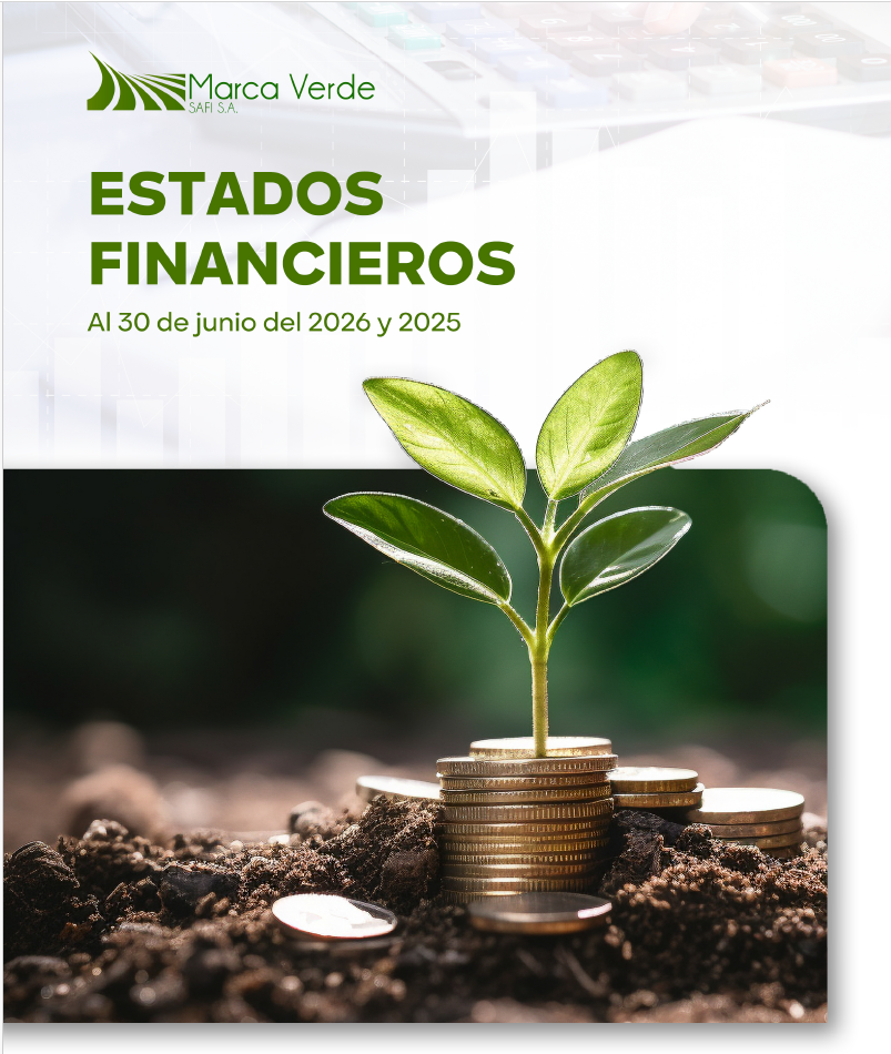ESTADOS FINANCIEROS AL 30 DE JUNIO DE 2026 Y 2025