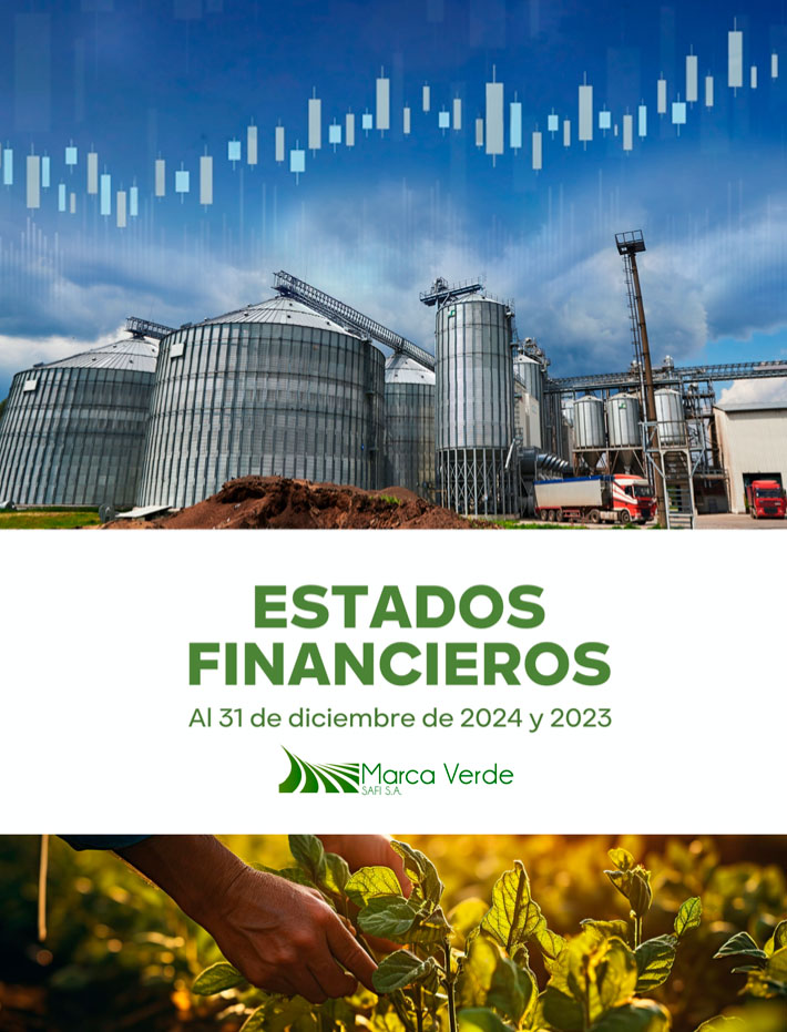 ESTADOS FINANCIEROS AL 31 DE DICIEMBRE DE 2024 Y 2023