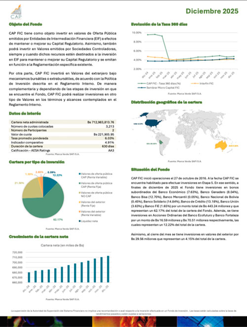 INFORME CAP FIC DICIEMBRE 2025