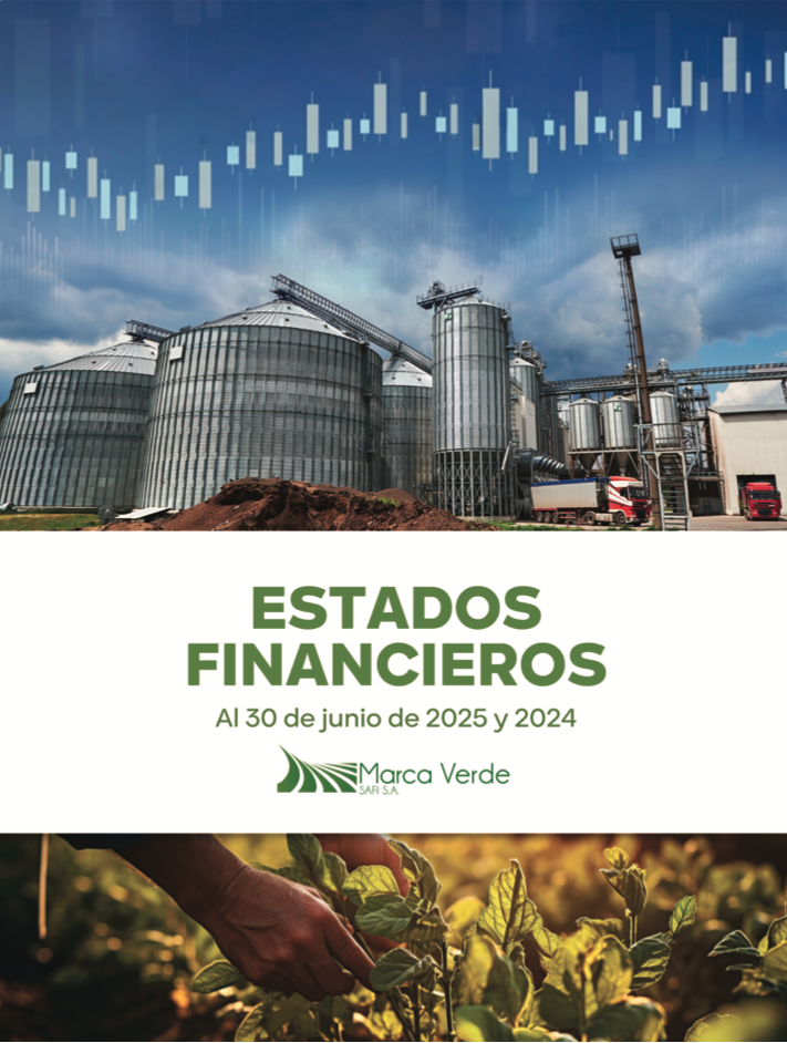 ESTADOS FINANCIEROS Al 30 de junio de 2025 y 2024