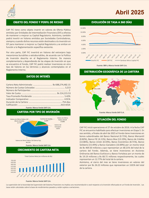 Informe CAP FIC 4